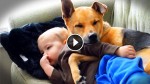 Adorable Dog Watches Over Little Human Who Doesn’t Feel Well