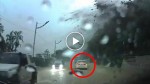 This driver witnessed a miracle! Don’t take your eyes off the white vehicle!