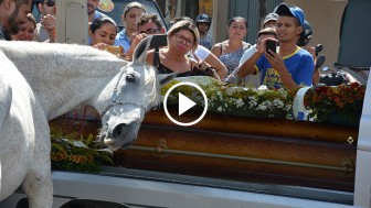 Grieving Horse Gets Close To His Human Friend’s Coffin And His Reaction Brought Everyone To Tears