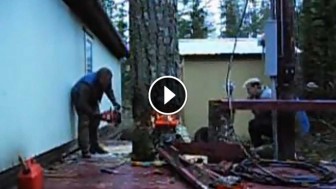 Lumberjack Does Something Amazing To Avoid Damaging Property. WOW!