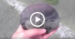 Woman Grabs Sand Dollar Out Ocean, Now Watch When She Turns It Around