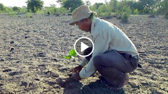Man Plants Trees In Same Spot Every Day. 38 Years Later, You’ll Never Believe What He Created