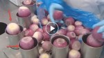 This is how it’s made onions in factories. How they harvest and make packets of onions